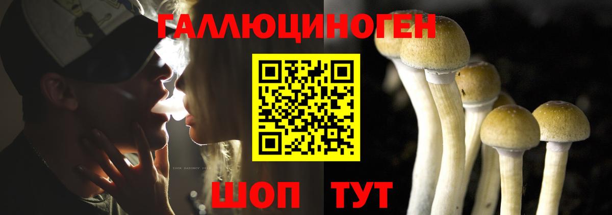 Псилоцибиновые грибы Psilocybine cubensis  Вход с VPN  Псилоцибиновые грибы MAGIC MUSHROOMS  Копейск 
